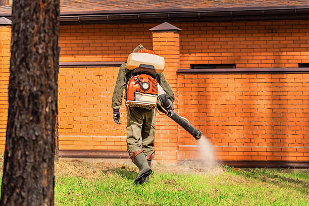Trusted Rodent Control service in Green Meadows, OH - Nex Pest Control
